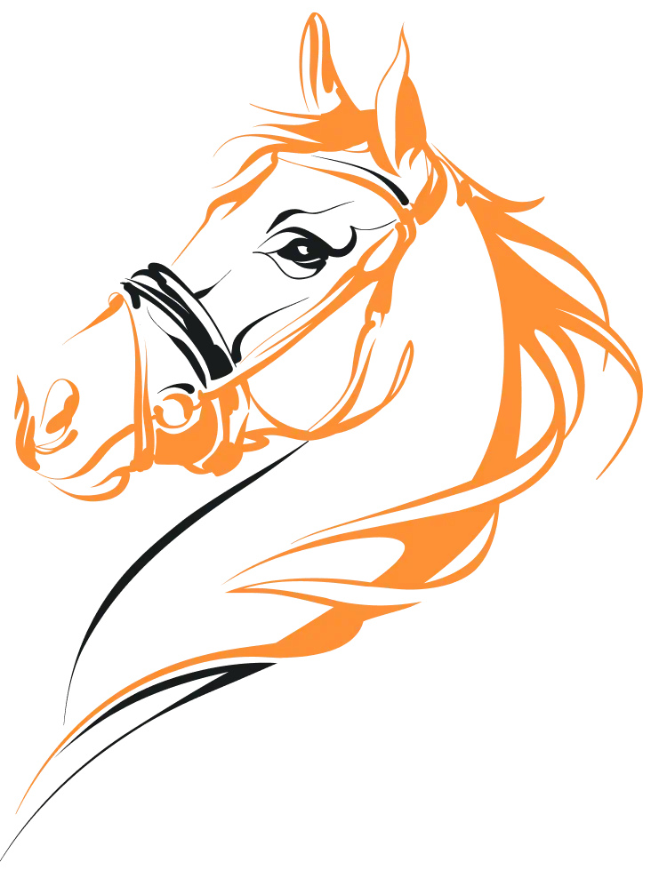 حصان عربي أصيل